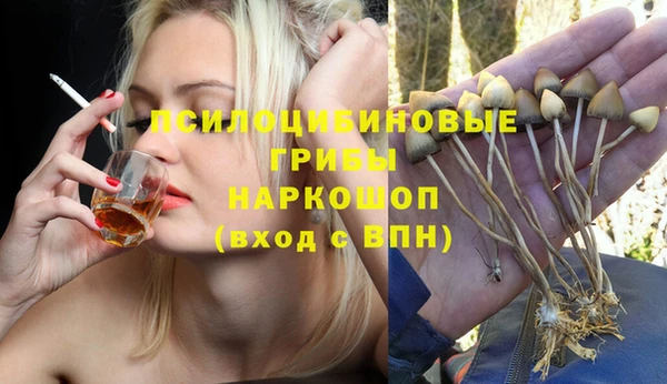амф Аркадак